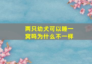 两只幼犬可以睡一窝吗为什么不一样