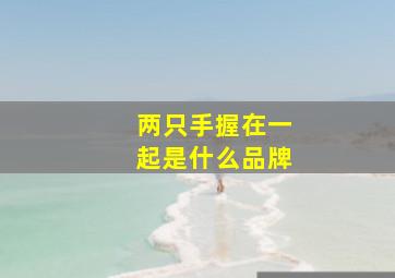 两只手握在一起是什么品牌