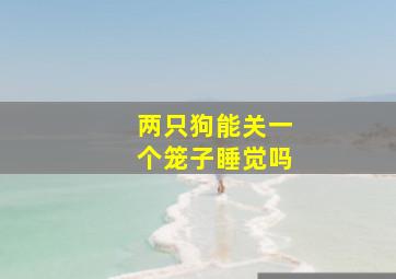 两只狗能关一个笼子睡觉吗