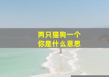 两只猫狗一个你是什么意思