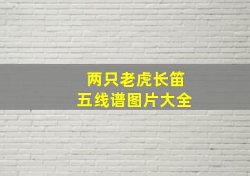 两只老虎长笛五线谱图片大全