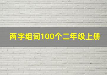 两字组词100个二年级上册