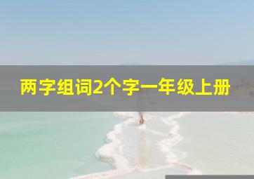 两字组词2个字一年级上册