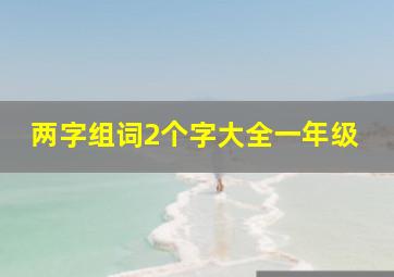 两字组词2个字大全一年级