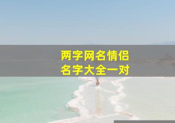 两字网名情侣名字大全一对