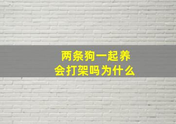 两条狗一起养会打架吗为什么