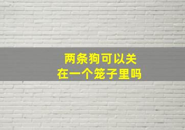 两条狗可以关在一个笼子里吗