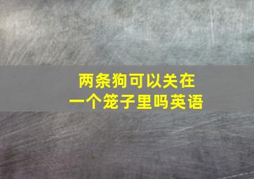 两条狗可以关在一个笼子里吗英语