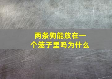 两条狗能放在一个笼子里吗为什么