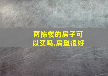 两栋楼的房子可以买吗,房型很好