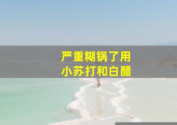 严重糊锅了用小苏打和白醋