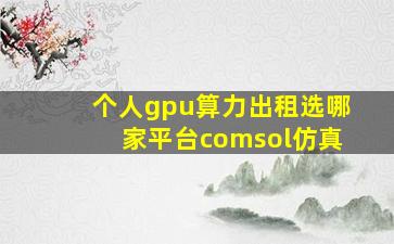 个人gpu算力出租选哪家平台comsol仿真