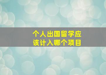 个人出国留学应该计入哪个项目