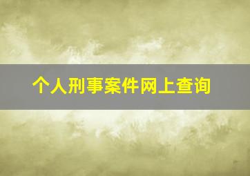 个人刑事案件网上查询