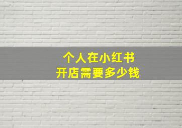 个人在小红书开店需要多少钱