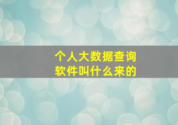 个人大数据查询软件叫什么来的