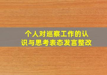 个人对巡察工作的认识与思考表态发言整改