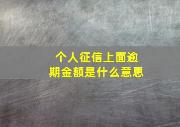 个人征信上面逾期金额是什么意思