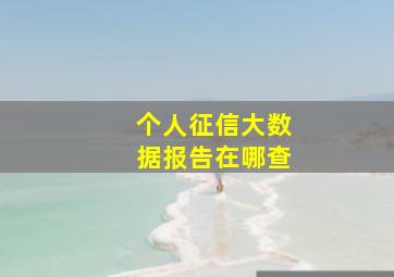 个人征信大数据报告在哪查