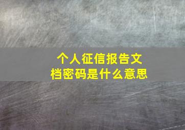 个人征信报告文档密码是什么意思