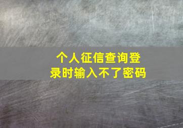 个人征信查询登录时输入不了密码