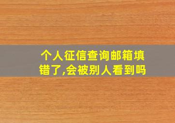 个人征信查询邮箱填错了,会被别人看到吗