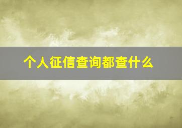 个人征信查询都查什么