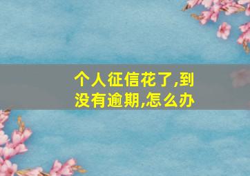 个人征信花了,到没有逾期,怎么办