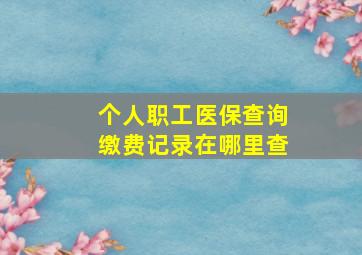 个人职工医保查询缴费记录在哪里查