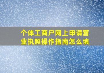 个体工商户网上申请营业执照操作指南怎么填