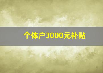 个体户3000元补贴