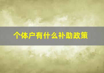 个体户有什么补助政策