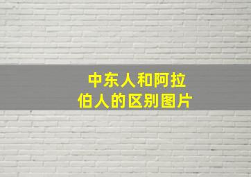 中东人和阿拉伯人的区别图片