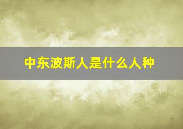 中东波斯人是什么人种