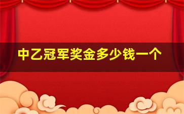 中乙冠军奖金多少钱一个