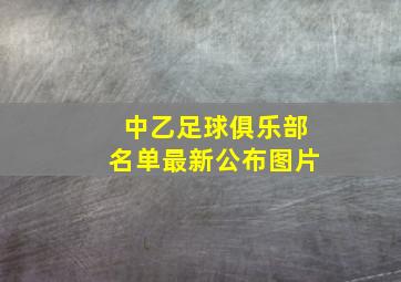 中乙足球俱乐部名单最新公布图片