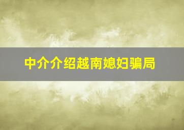 中介介绍越南媳妇骗局