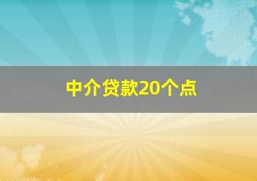 中介贷款20个点