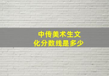 中传美术生文化分数线是多少