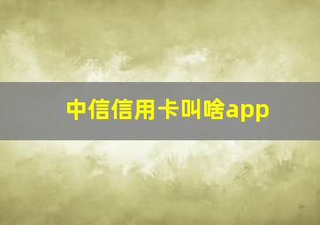 中信信用卡叫啥app