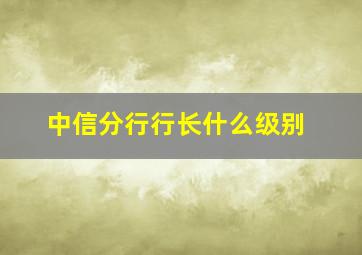 中信分行行长什么级别