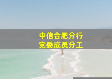 中信合肥分行党委成员分工