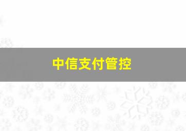 中信支付管控