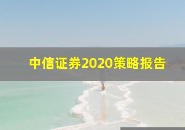 中信证券2020策略报告