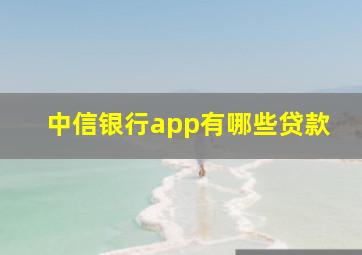 中信银行app有哪些贷款