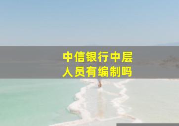 中信银行中层人员有编制吗