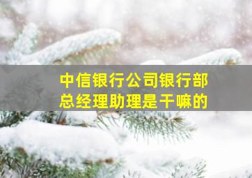 中信银行公司银行部总经理助理是干嘛的