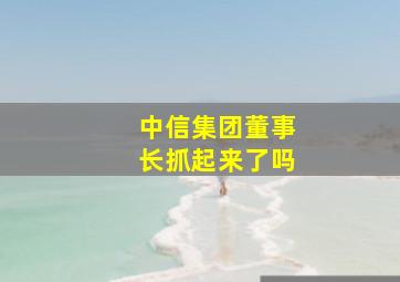 中信集团董事长抓起来了吗