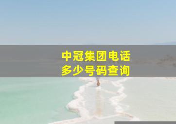 中冠集团电话多少号码查询