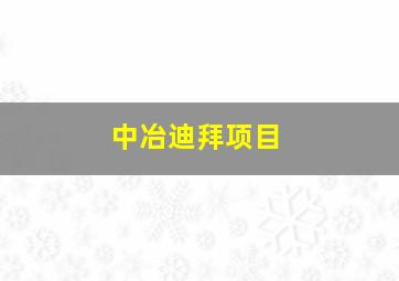 中冶迪拜项目